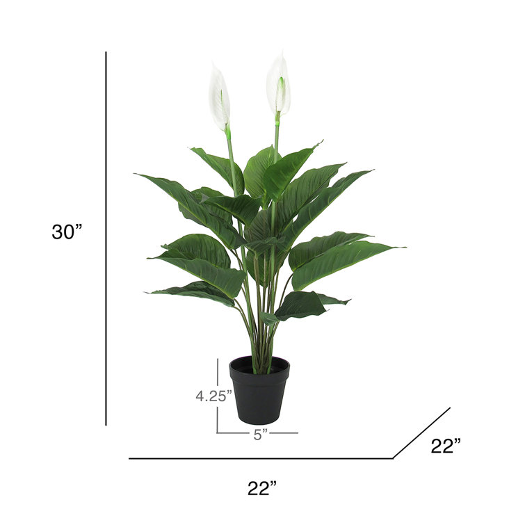 Primrue Artificial Peace Lily Plant in Pot Wayfair Canada